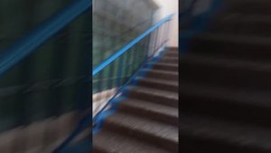 Гимназия 95 ростов на дону