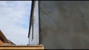 Цветнохвостые голуби Дагестана