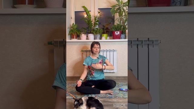 Вечерняя медитация Соединение с Высшим Я