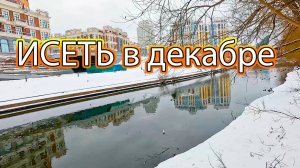 Прогулка по берегу реки Исеть в конце декабря