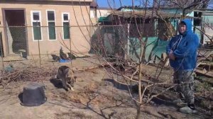 Оформляю пенсию на юге. Что мне подарил Олег? У нас в гостях Ольга. Поговорим...