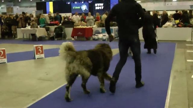 ОТКРЫТЫЙ КЛАСС КОБЕЛИ 2 смотреть онлайн