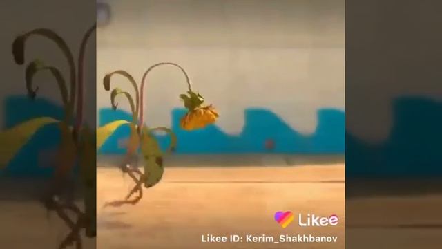 Это история похож как наши жизнь. смотреть онлайн