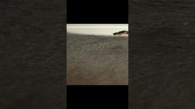 1000110421.mp4пуховые изделия у Ольги.т.89020931602.
