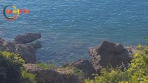 Ultimate Travel Guide to Aruba 2024 | Best Places to Visit | Top Attractions | Que4710