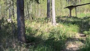 Поход к охотничьей Избе республика Коми. Охота.Тайга.Река