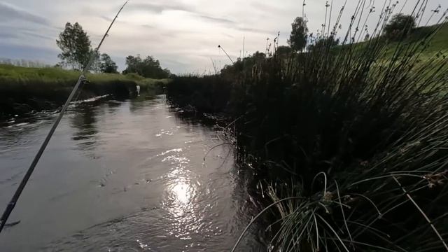ГОЛАВЛЬ малых рек ЛЕТОМ! Рыбалка на СПИННИНГ! Забродная рыбалка в жару! смотреть онлайн