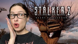 ЗАБРАЛИ СКАНЕР И НАШЛИ ПРИКОЛ - S.T.A.L.K.E.R. 2: Heart of Chornobyl #20