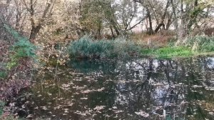 Чертково. р.Меловая 10.2023