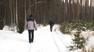 В рязанских лесничествах проходят рейды по выявлению ёлочных браконьеров