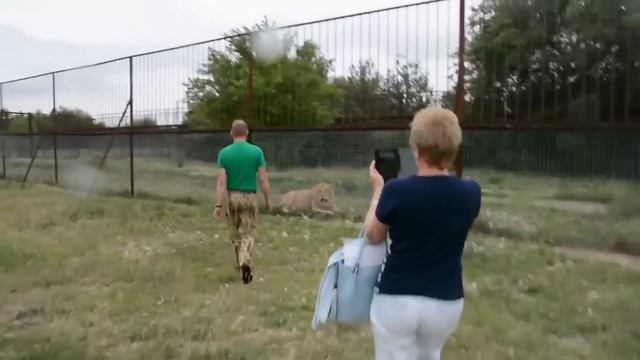 Памяти льва Фили посвящается
