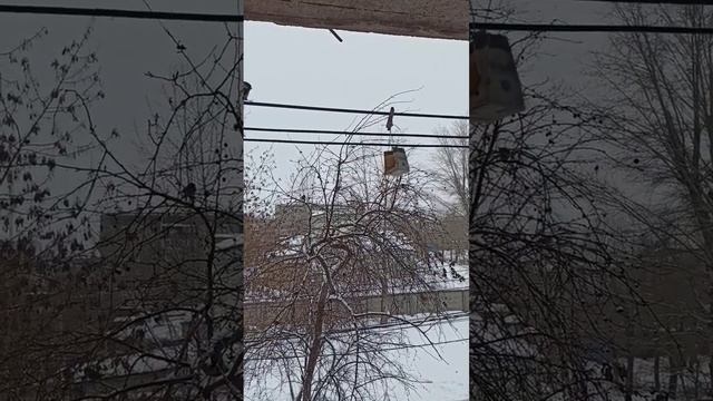 Все хотят кушать