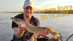 Много Рыбы На Нижней Волге! Удачная Рыбалка в Начале Октября! Мой Рекорд по Щуке!