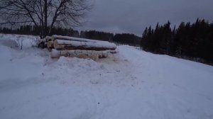 Дороге быть. Распиливаю брёвна на дрова. Приехал К-700 "Кировец" Почистил дорогу в заброшку.