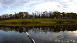 9 мая 2023. Плотва на боковой кивок. Боковой кивок. Безмотылка.