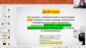 Общепсихологическая теория деятельности А.Н. Леонтьева