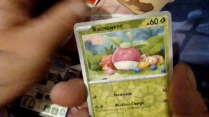 POKEMON MINI PORTFOLIO PACK WHAT WILL I GET