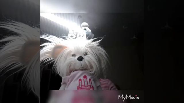 День с моей собакой ЛАКИ доги смотреть онлайн