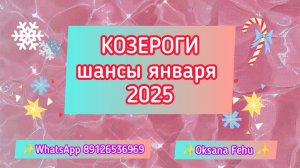 КОЗЕРОГИ - шансы в ЯНВАРЕ 2025 года.