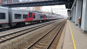 Ласточка летит