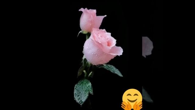 возраст для женщин не помеха... смотреть онлайн