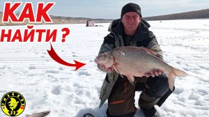 Как найти леща , этот метод работает.Зимняя рыбалка на комбайны 2022.
