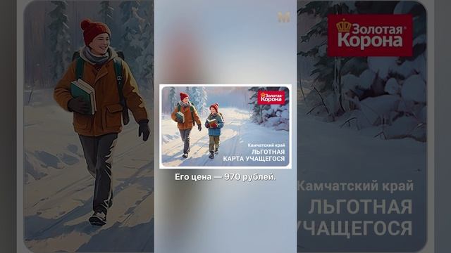 ГЛАВНОЕ ЗА МИНУТУ | 24.12 #камчатка #новости