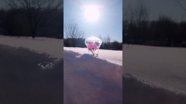 Весна уже на пороге #весна #эстетика #красота смотреть онлайн