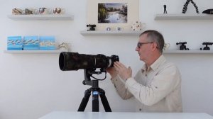 The Sirui PH-30 gimbal head for wildlife photography