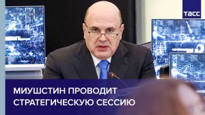 Миушстин проводит стратегическую сессию