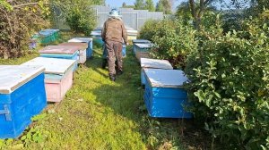 Вывозим пчелосемьи с точков домой