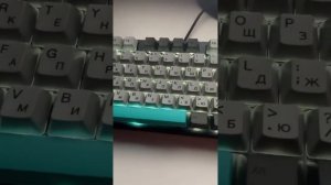 ZXCURSED LIVE \ ОБЗОР НА КЛАВИАТУРУ Varmilo VA87M Moonlight Cherry MX Red