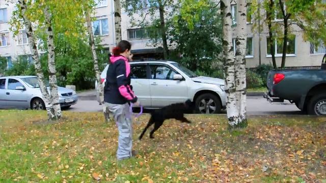 деревья. Учим право-лево жестами
