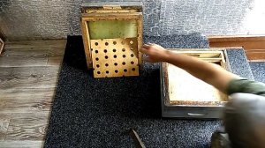 Элементы улья Альпиец Н108