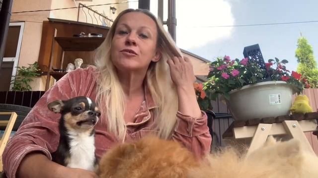 Мои планы на ближайшее время. смотреть онлайн