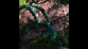 Рунические четки из нефрита. Рунический Круг.