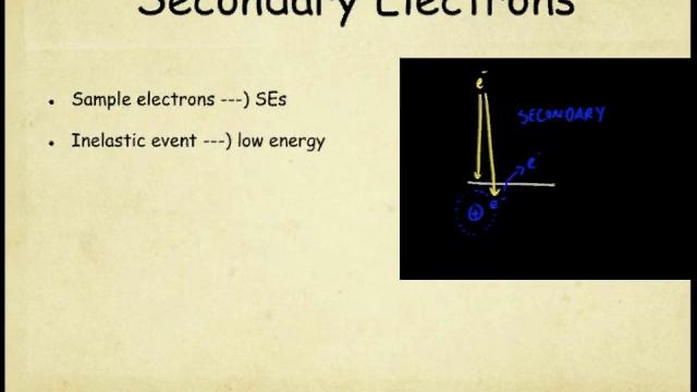 RAIN: Introduction to Scanning Electron Micrscopy (SEM) смотреть онлайн