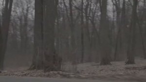 Криминальный бит - Рисунки (2022)