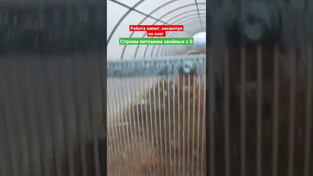 Решили песок постелить на дно теплиц и парников