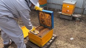 У ВАС СЛАБЫЕ СЕМЬИ  ДЕЛАЙТЕ ТАК !