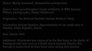 5 динозавров снятых на камеру