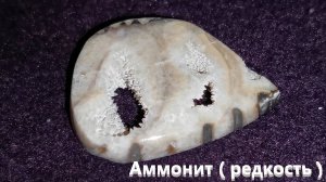 Эксклюзивные штуки. Аммонит и Южная яшма в халцедоне.
