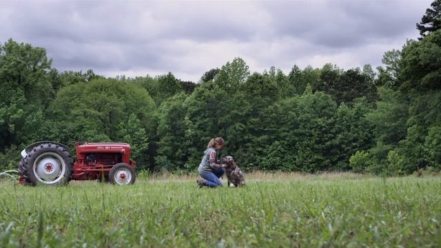 SportDOG® NOBARK™ SBC-R-E Bark Control Collar - Overview смотреть онлайн