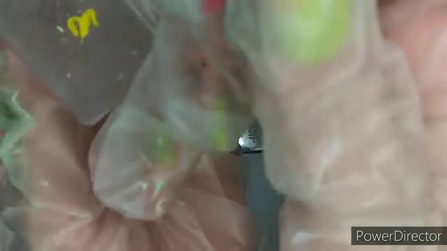 Ну и наляпала😂Дизайны с пластины от Борн Претти L008 Фрукты.Неоновые лаки от ЗетДжой и Данс легенд смотреть онлайн