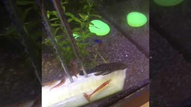 8 мая 2020 г. смотреть онлайн