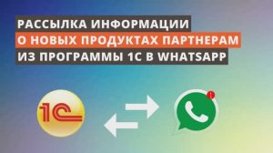 Рассылка информации о новых продуктах партнерам из 1C в WhatsApp.