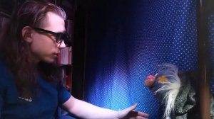 Как развивать внимание