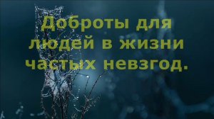 Доброта это свет