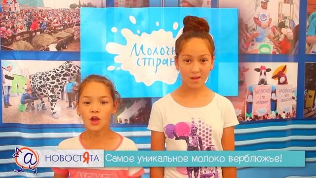 Самая мелкая порода крупного рогатого скота - намибийская овамбо. НОВОСТЯТА. Выпуск 204. ТЕЛЕШКО смотреть онлайн