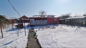 Уже не голуби-куры.